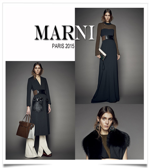 MARNI2015