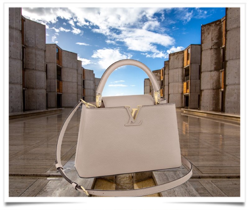 Louis Vuitton Cruise 2023 Show at The Salk Institute